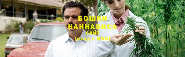 гашик Арсеньев