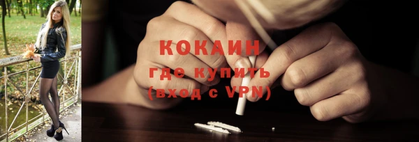 гашик Арсеньев