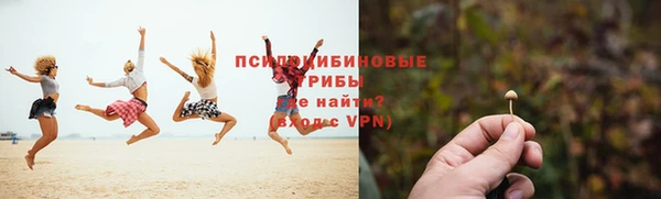 трава Аркадак