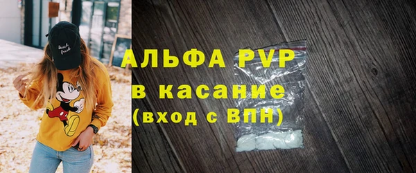 гашик Арсеньев