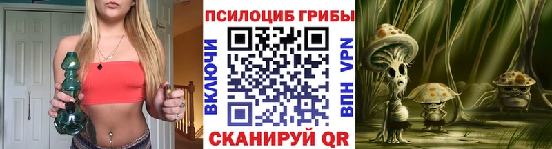 Галлюциногенные грибы MAGIC MUSHROOMS  сколько стоит  даркнет как зайти  Аркадак 